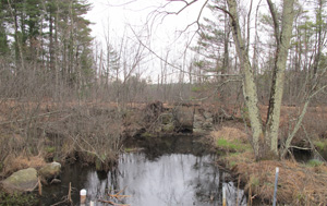 Stump Pond Brook monitoring site