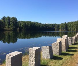 Photo of Supply Pond at the Water Treatment Plant.